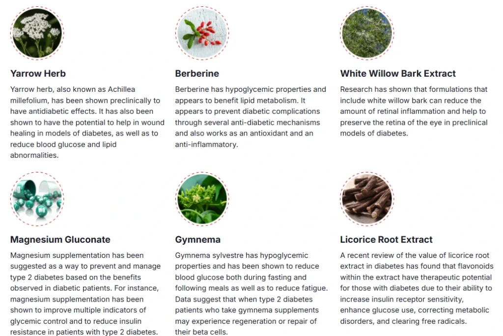 Key ingredients in Glyco Care™ supporting metabolic health